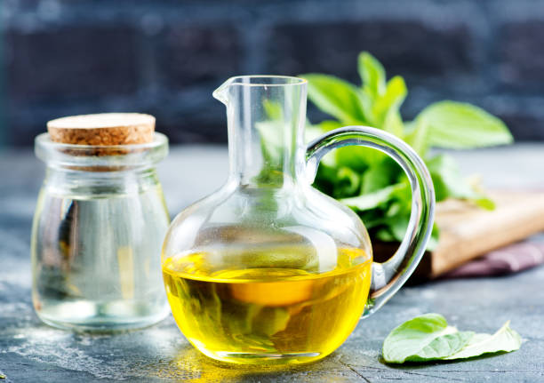 Why Hydrotreated Vegetable Oil Is Emerging as a Practical Alternative to Conventional Diesel