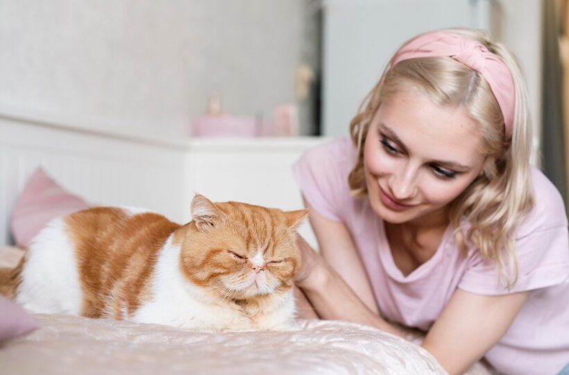 Trusted Cat Babysitter Near Me for Stress-Free Pet Sitting