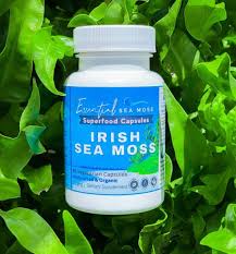 Organic Irish Sea Moss: What Makes It Different From Regular Sea Moss
