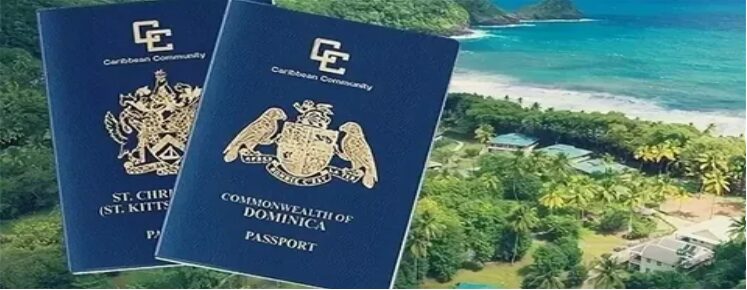 Dominica Citizenship Consultation| Guide to Secure Second Citizenship