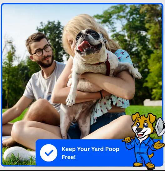 Best Dog Pooper Scooper Services Near You – Top Dog Poop Yard Cleaning Solutions