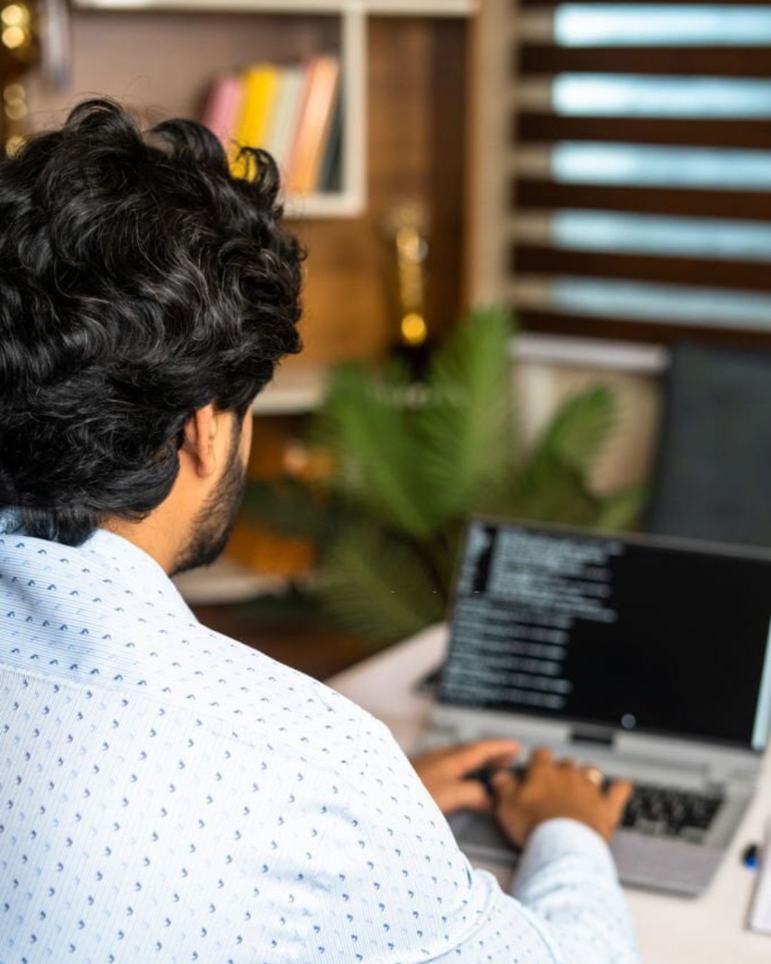 Complete On-Page and Off-Page SEO Training in Zirakpur