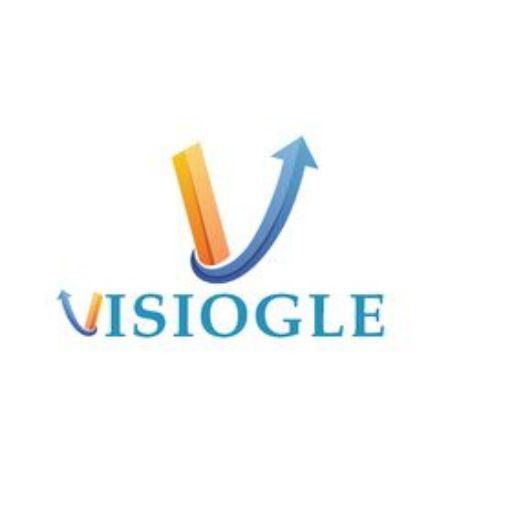 Why Businesses Are Choosing the Best Local SEO Company in India: The Visiogle Advantage