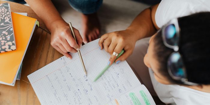 Why Law Assignment Help Is Essential for Academic Success