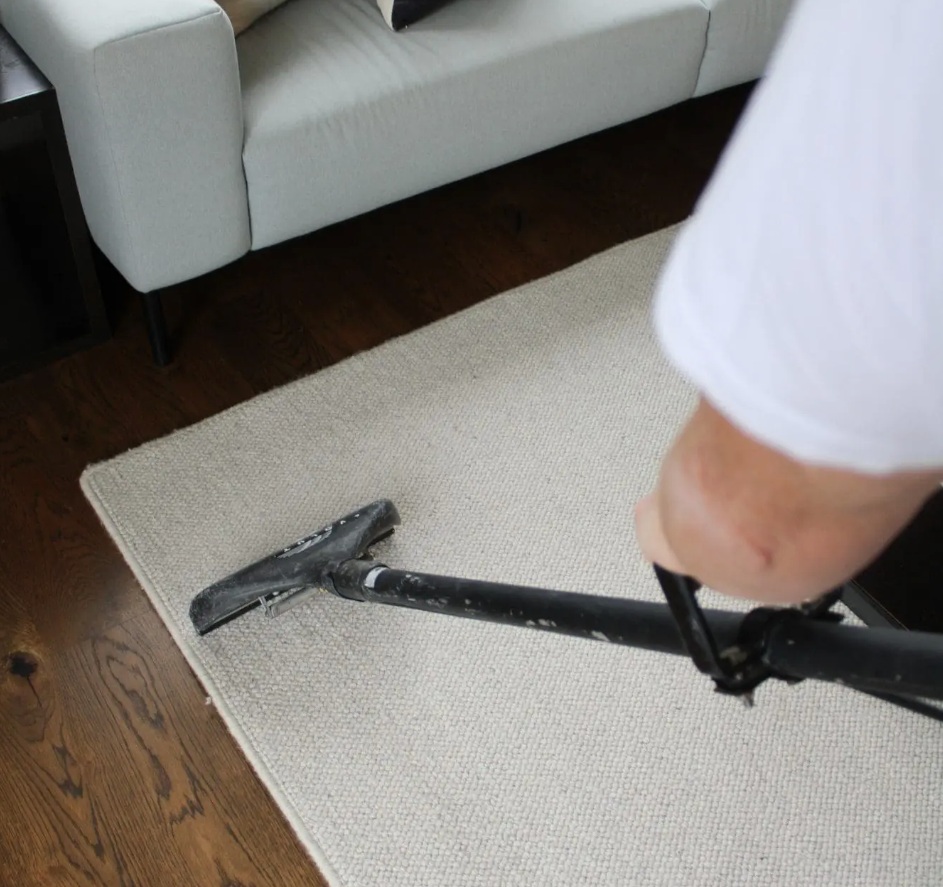 Why Professional Carpet Cleaning is Necessary for a Fresh Home