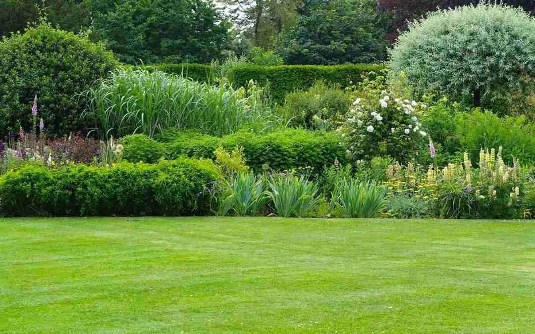 Synthetic Grass Sydney: A Low-Maintenance Lawn Solution