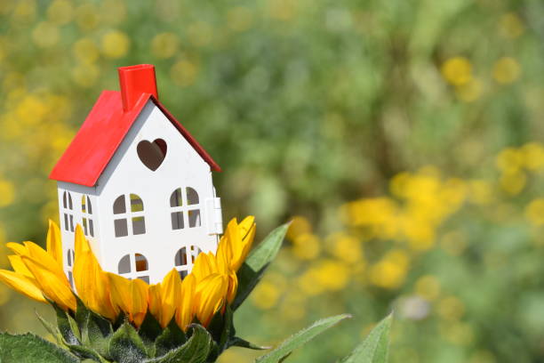 How a Top Realtor Can Transform Your Real Estate Experience?