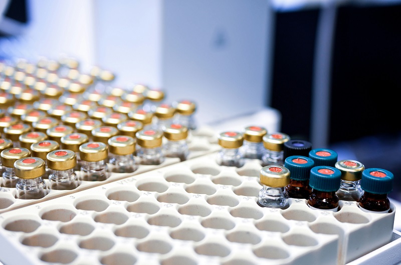 Obesity Models: The Essential Tools Unlocking Next-Generation Treatments