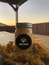 Where to Buy High-Quality Organic Sea Moss: A Complete Buyer’s Guide