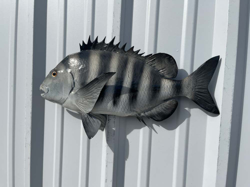 Premium Replica Fish Mounts: Durable Fiberglass Fish Replicas Guide