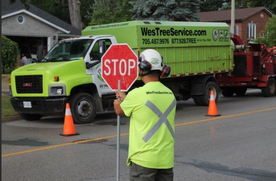 Professional Tree Service Barrie – Trusted Local Tree Care Specialists