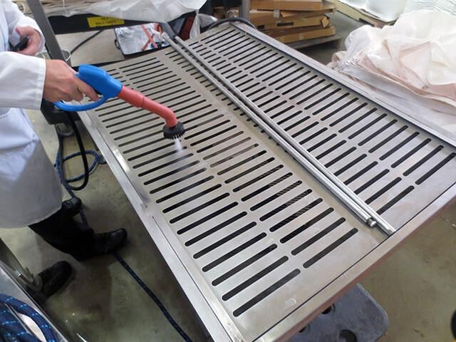 DIY vs Professional Steam Cleaner for Sanitizing: What Works Better?