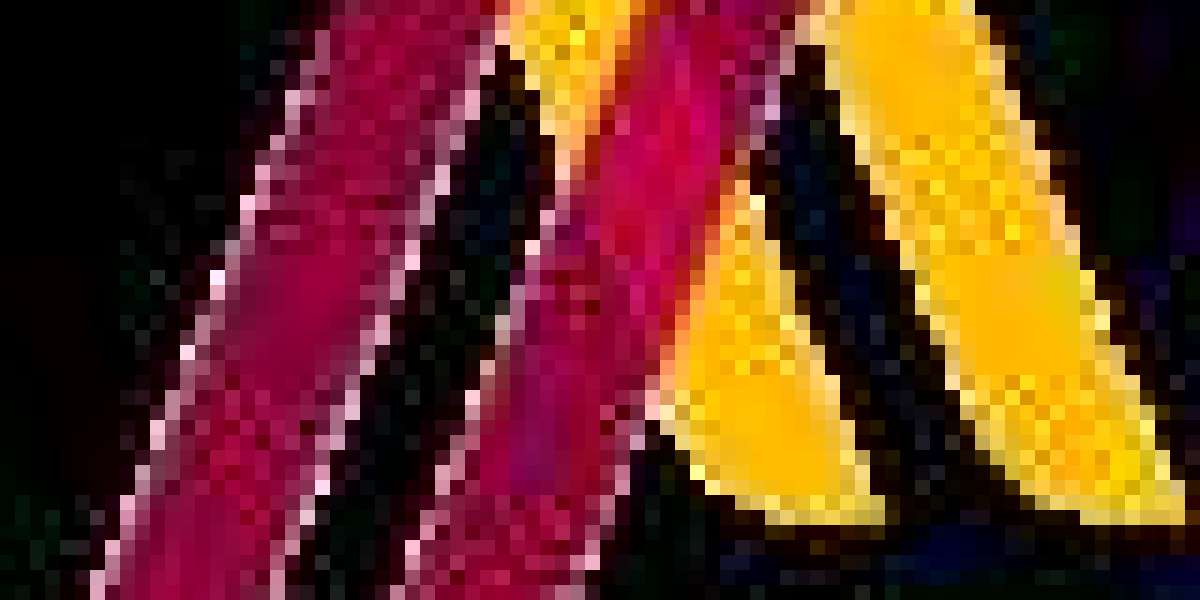 Assignment Help for Stress-Free Academic Success