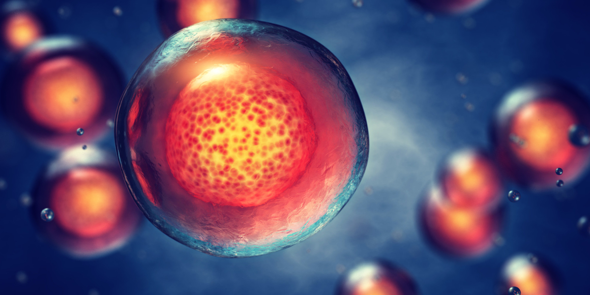 Is Stem Cell Treatment for ED Gaining Popularity Today?