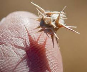 Sticker Roller Machine Buying Guide: Features, Types, and Tips