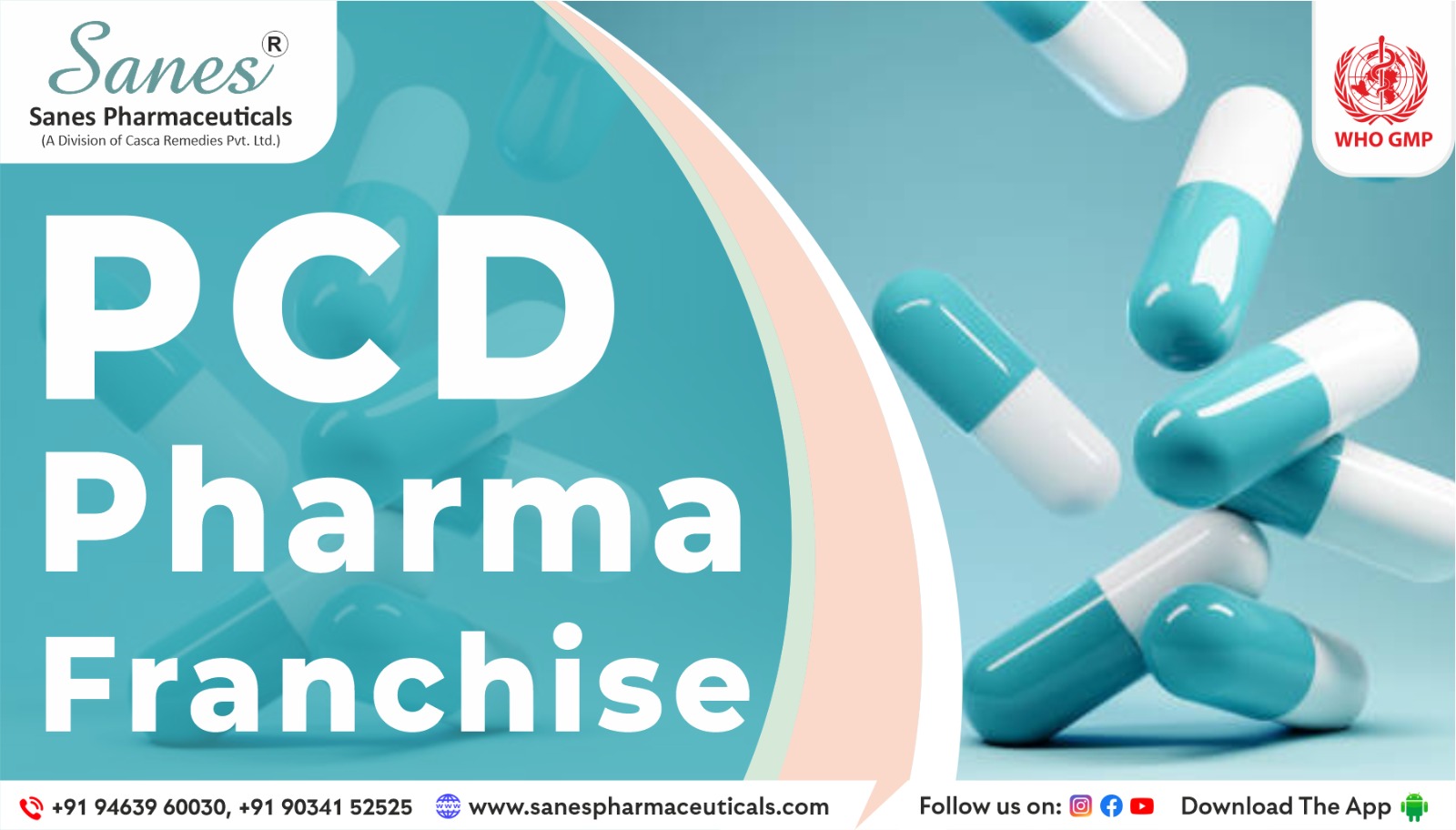 ​The Blueprint to Success: How to Start a PCD Pharma Franchise in India