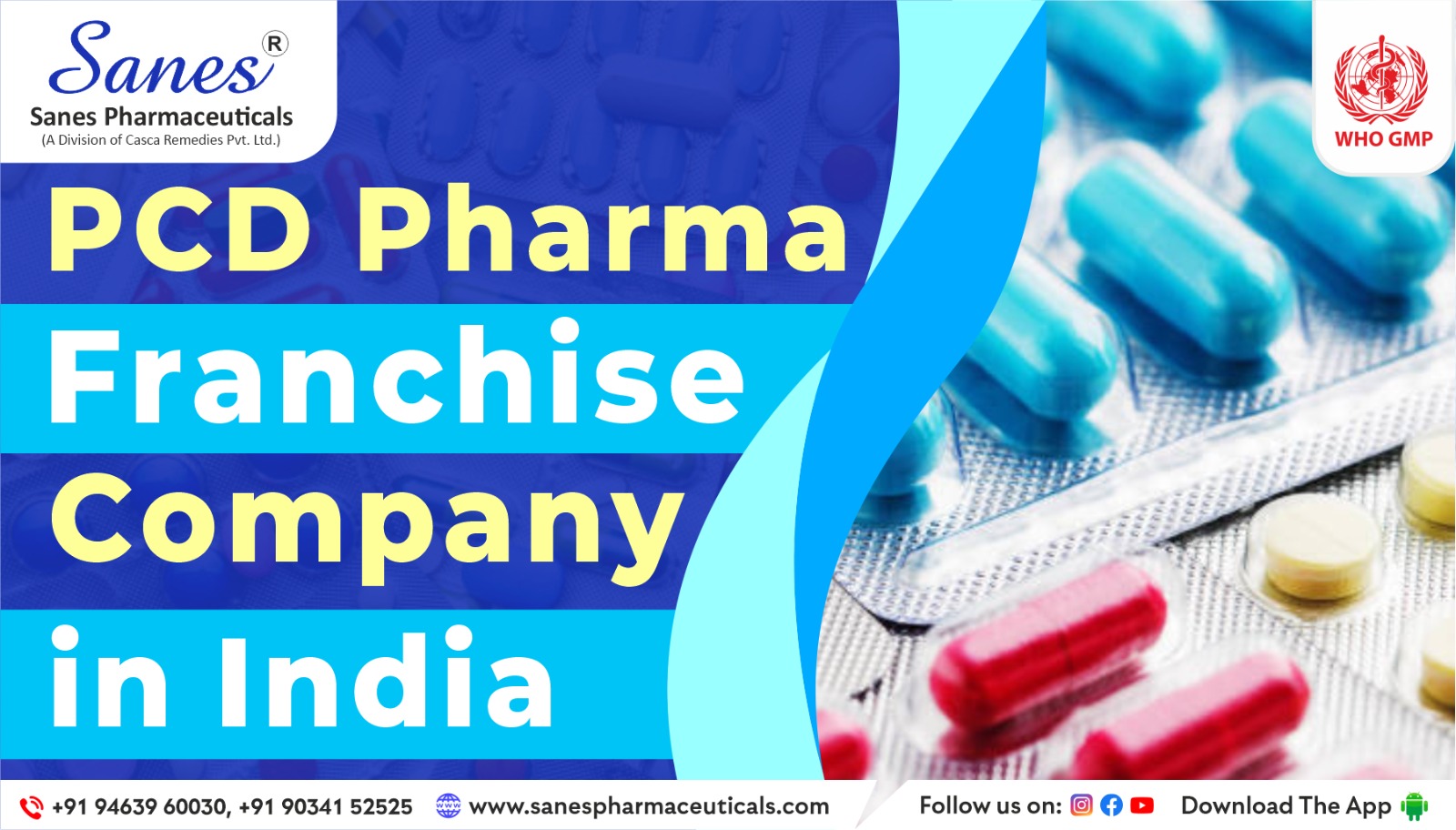 From Generics to Growth: Unlocking Big Profits with a PCD Pharma Franchise Opportunity