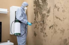 Mold Abatement in Orlando FL | Professional & Certified Services
