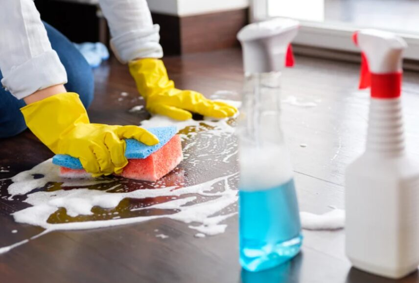 Professional Cleaners in Bucksport Maine – 9 Smart Reasons to Choose Expert Cleaning