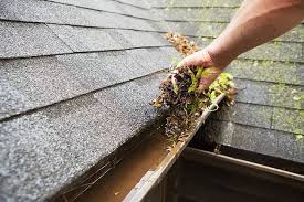 How Clean Gutters Protect Your Roof and Foundation