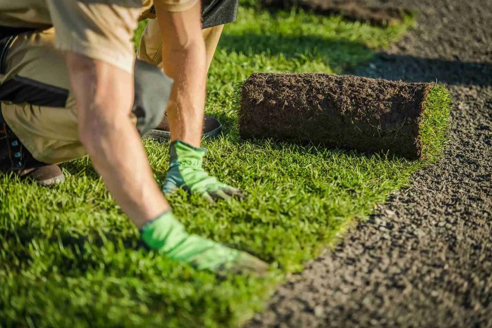 Synthetic Lawn vs Natural Grass: What’s Better in Sydney?