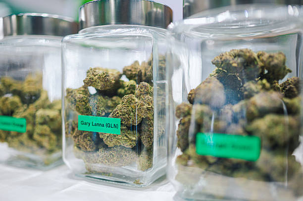 Trusted Herbal Medicine Store for Natural Wellness Solutions