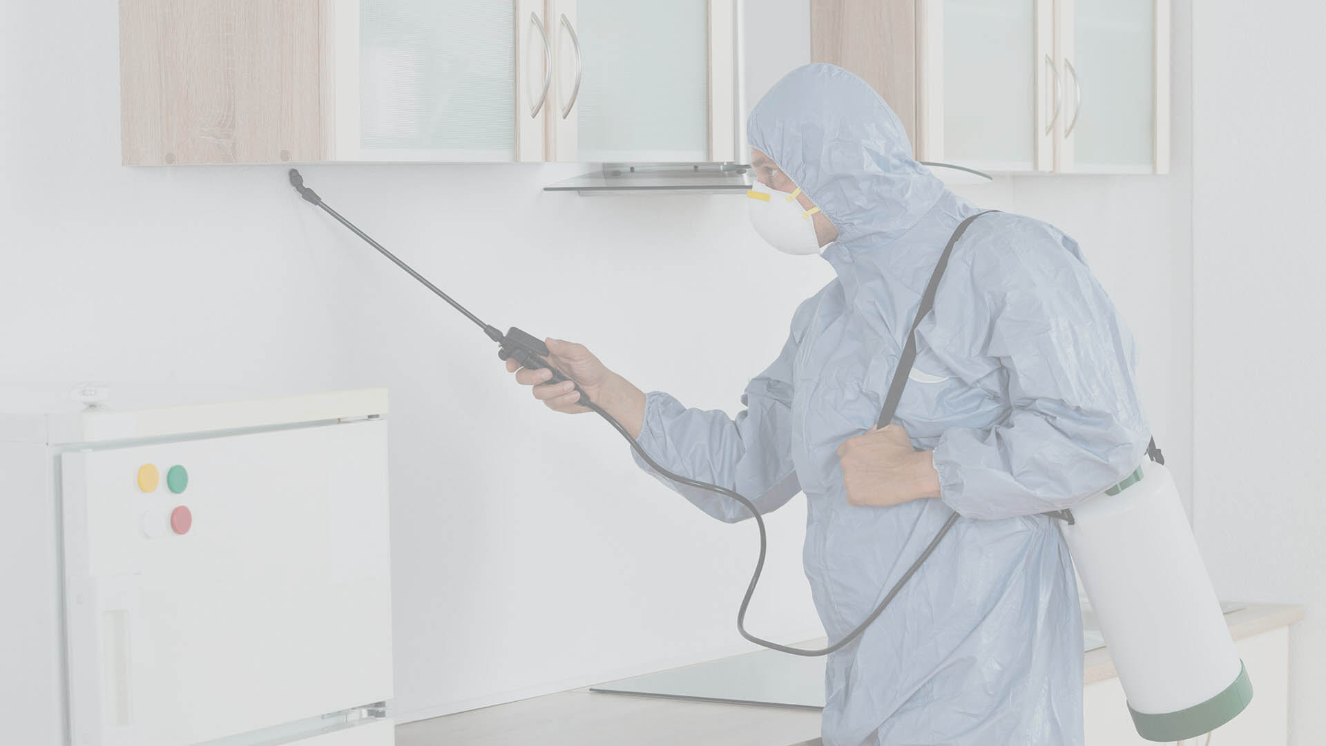 Professional Pest Control Company in Singapore