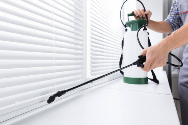 Why Are Insect O Cutors Still Best For Pest Control?