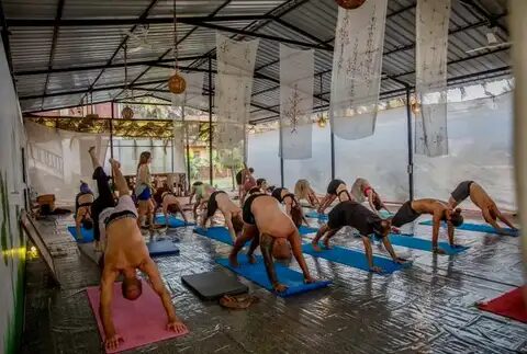 Transform Your Practice with a 500 Hour Yoga Teacher Training in Goa