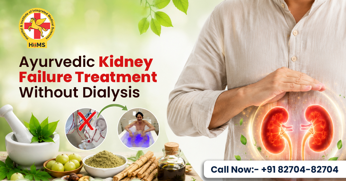 Ayurvedic Kidney Failure Treatment Without Dialysis: A Natural Approach to Kidney Care