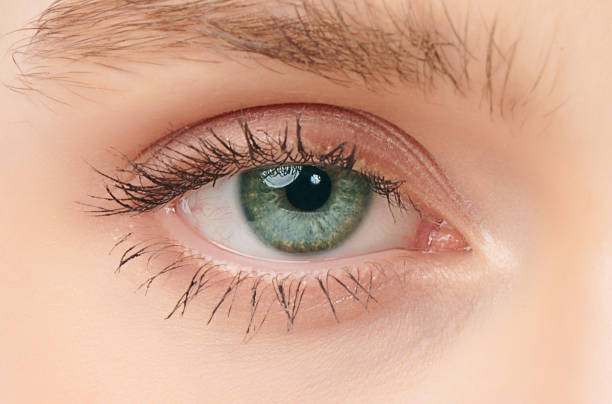 Can Eyelid Surgery in Abu Dhabi Enhance Natural Beauty?