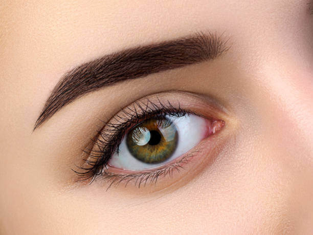 Dose Eyebrow Hair Transplant Affect Growth Cycle