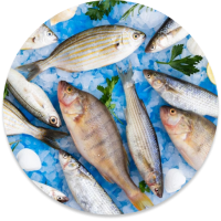Fresh Fish Delivery Dubai – Fast, Hygienic & Fresh Seafood with FishandGo