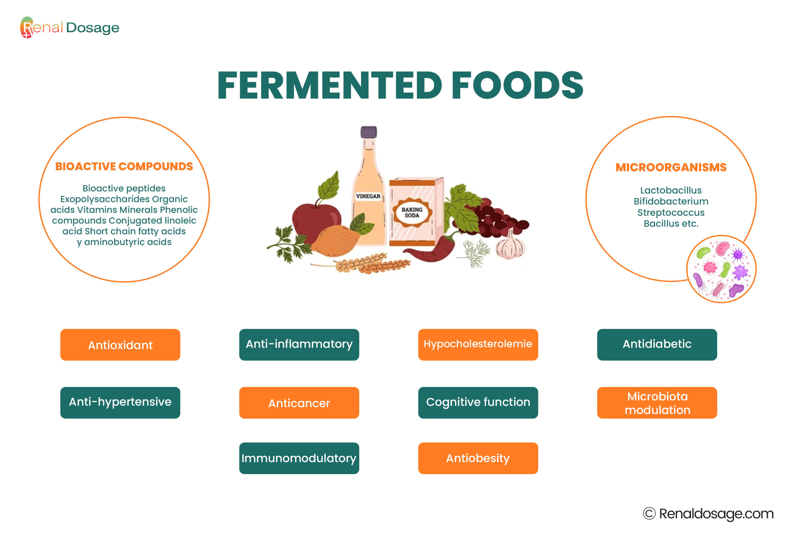 Fermented Vegetables for the Animal Based Diet?