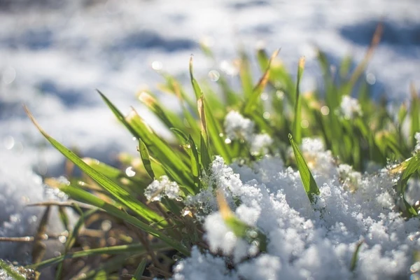 Snow Clearing in Fort Saskatchewan: A Complete Guide for Winter Maintenance