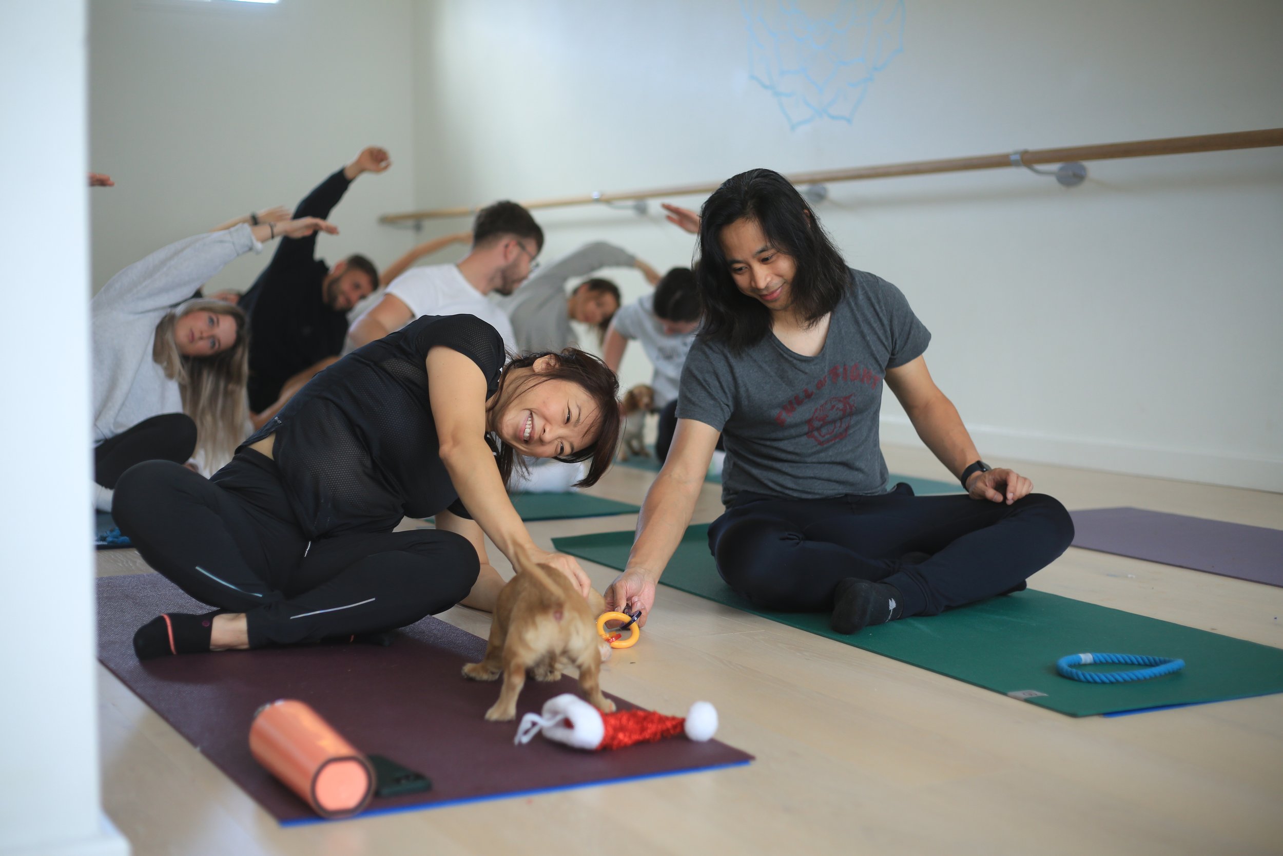 Feel the Positive Energy of Pets Yoga London Classes