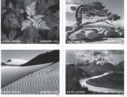 Tips for Buying Collectible Postal Stamps Online Safely