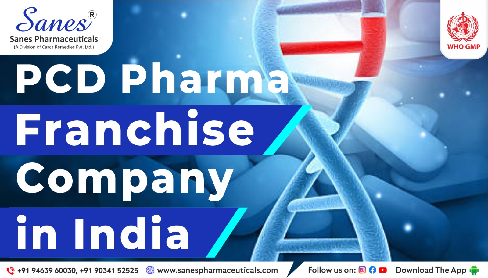 Breathe New Life Into Your Pharma Business: The PCD Franchise Pivot