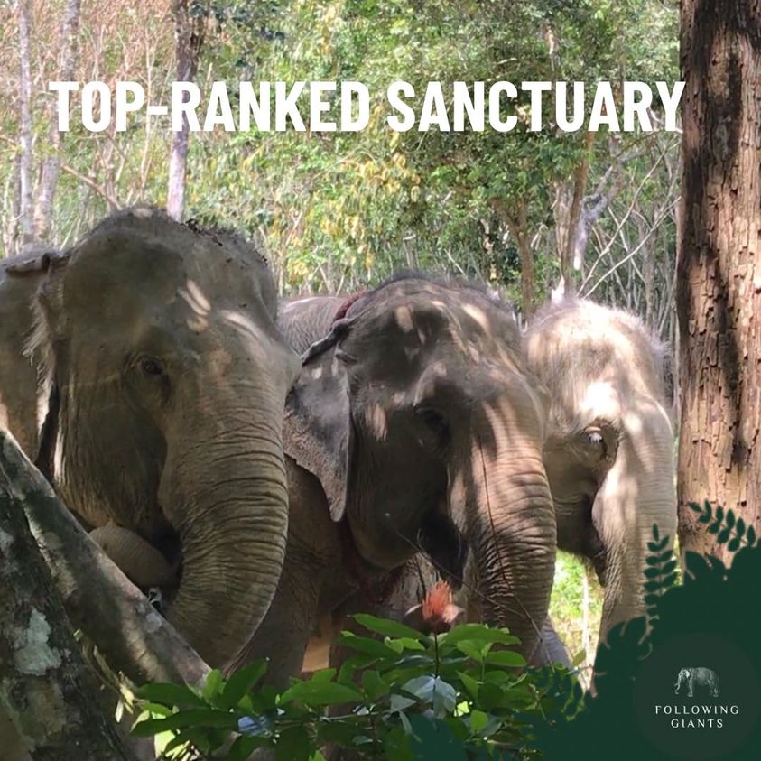 Krabi Ethical Elephant Sanctuary for Responsible Tourism