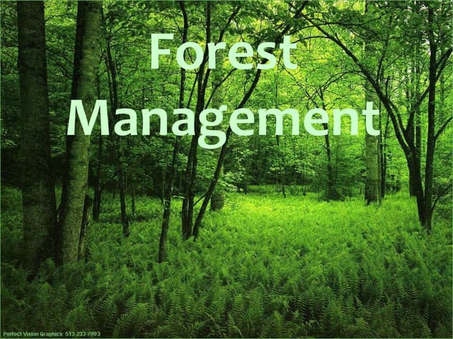 How Digital Forestry Platforms Are Transforming Modern Forest Operations