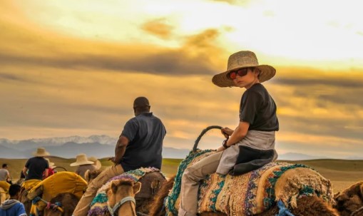 Imperial Cities of Morocco Tour: A Journey Through History and Culture