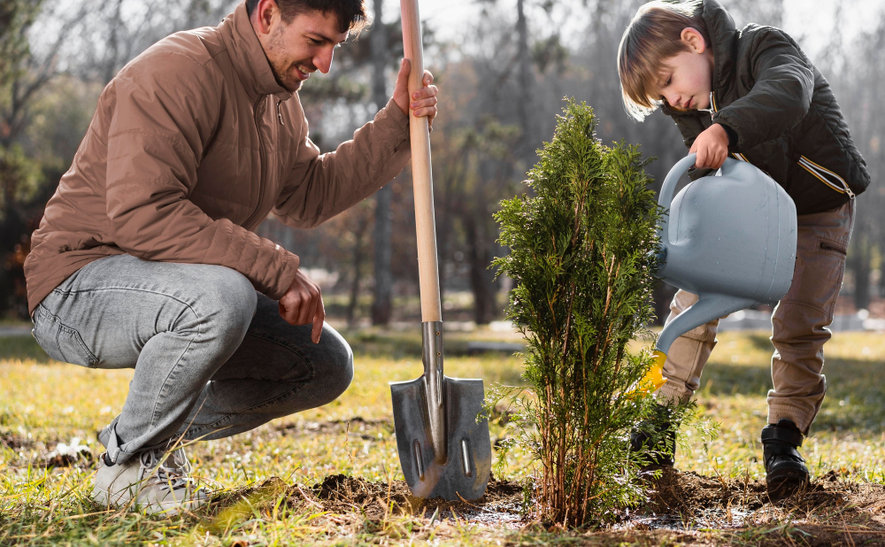 The Best Privacy Trees Chicago Homeowners Are Planting This Season