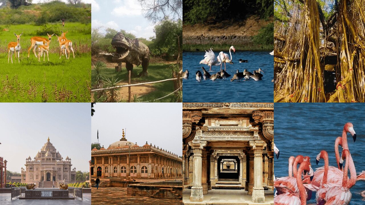 Summer Bliss in Gujarat: Best Places for a Family Vacation