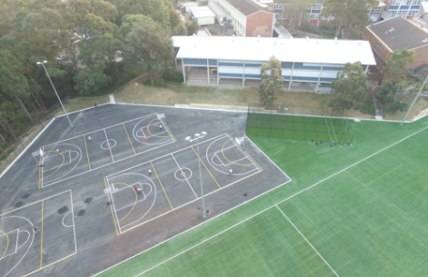 Backyard Cricket Pitch Sydney: Custom Installation Experts