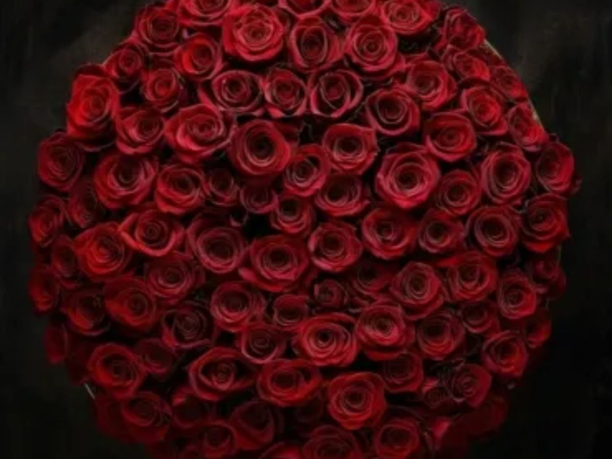 Best Florist Birmingham: Elegant Flowers for Every Special Moment