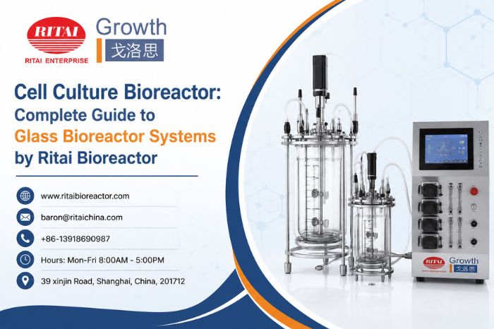 Cell Culture Bioreactor: Complete Guide to Glass Bioreactor Systems by Ritai Bioreactor