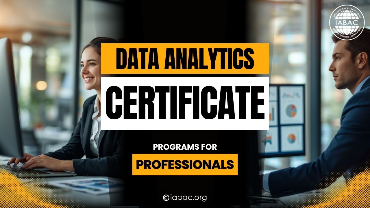 Data Analytics Certificate Programs for Professionals