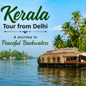 Kerala Tour from Delhi: A Journey to Peaceful Backwaters