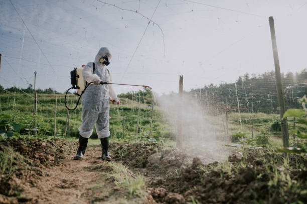Peru’s Specialty Fertilizer Demand Is Being Shaped by Export Agriculture and Efficient Nutrition