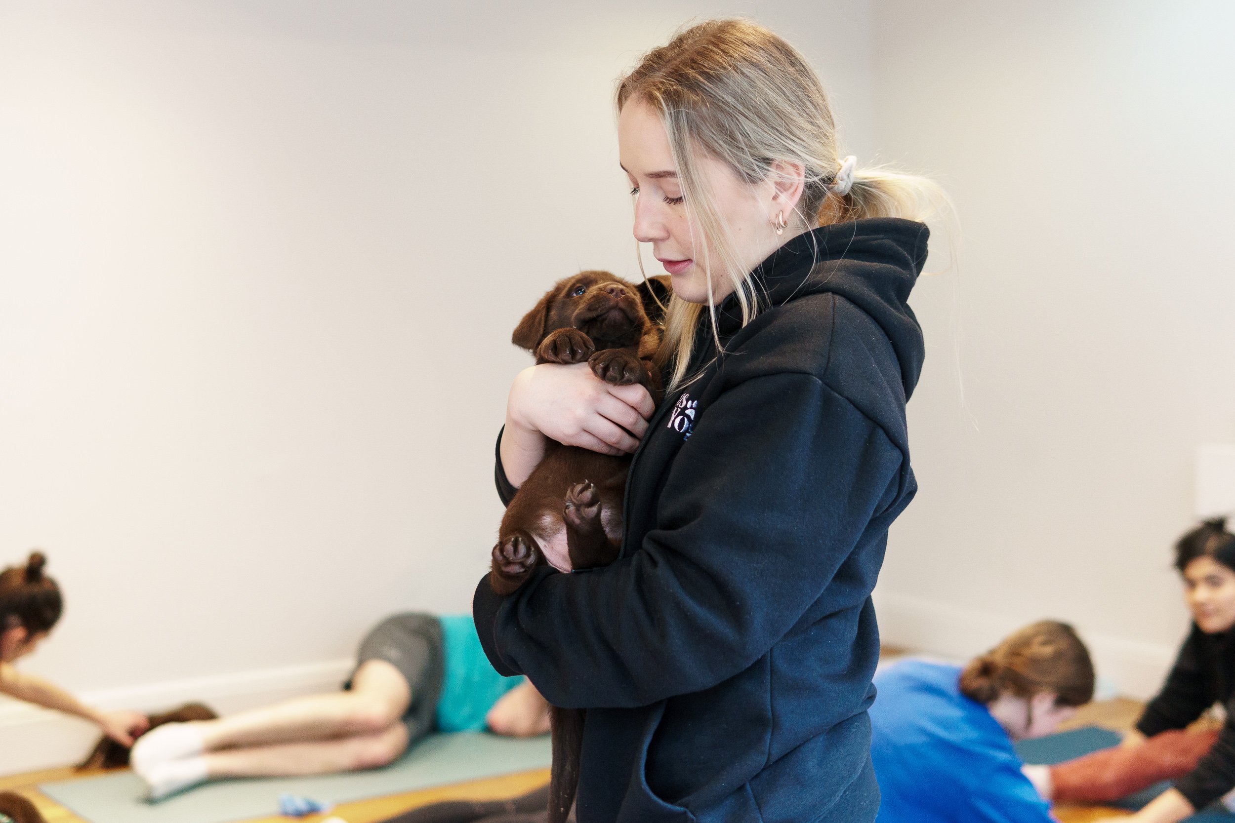 Why Puppy Yoga Class Bristol Is Perfect for Team-Building Events